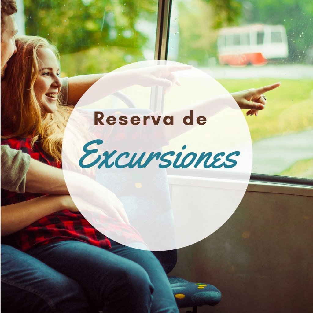 Reservá las mejores excursiones de MIami